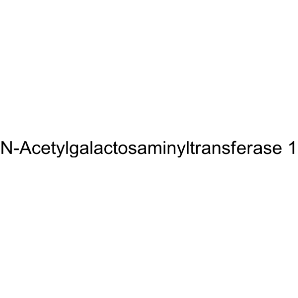 N-Acetylgalactosaminyltransferase 1